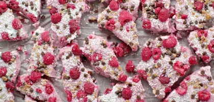 Raspberry Chocolate Frozen Yogurt Bark